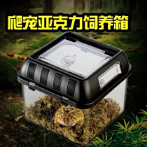 Acrylic portable feeding box Xijin the same spider horned frog palace pet snake breeding box turtle box