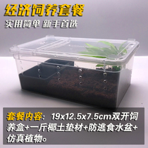 Suitable for 5-10cm crawling pet feeding suit Spider Scorpion Centipede Horned frog Simple landscaping practical and beautiful