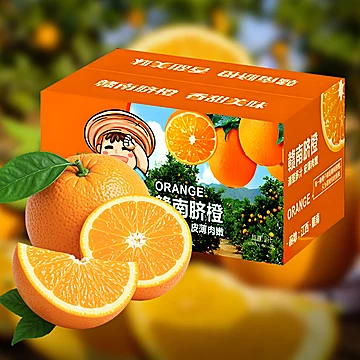 一品优现摘现发精品赣南脐橙大果净重4.5斤
