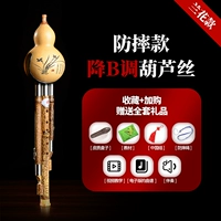 Orchid Anti -Fall Model