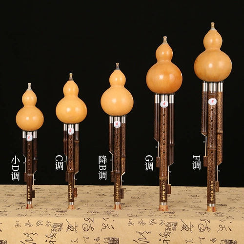 Тыкв Silk Professional Profession