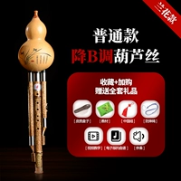 Орхидея популярного типа B Raber