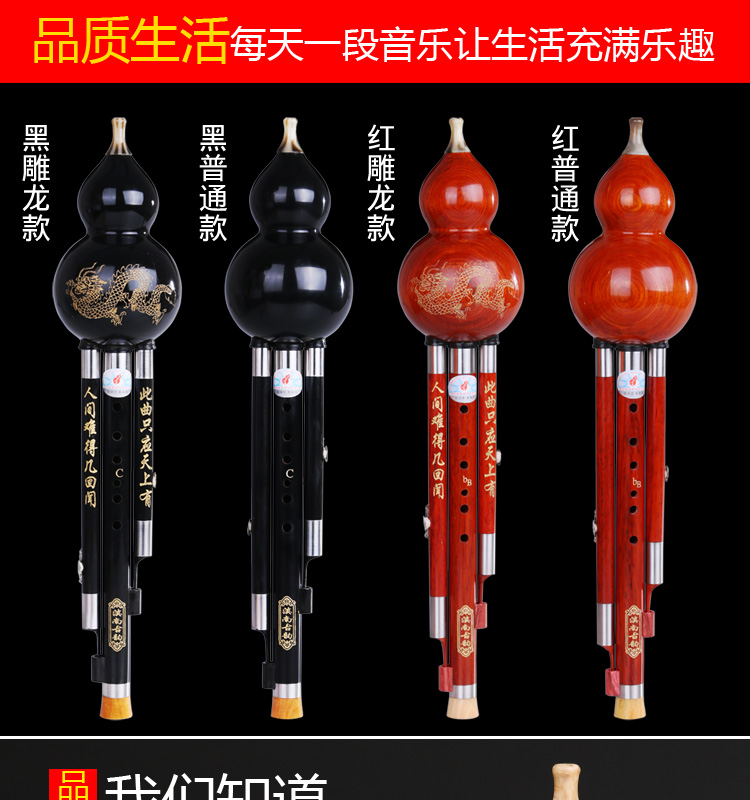 Cucurbit Ebony c c xuống b giai điệu học sinh tiểu học người mới bắt đầu nhạc cụ không nhập cơ sở 滇南 - Nhạc cụ dân tộc đàn đáy