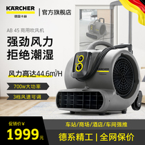 Germany Karcher Dryer Hotel Floor Carpet Blower High Power Commercial Blower AB45