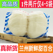 Newly dug two-headed royal fresh lily Lanzhou edible sweet lily Gansu Lanzhou specialty vacuum non-special grade dried lily