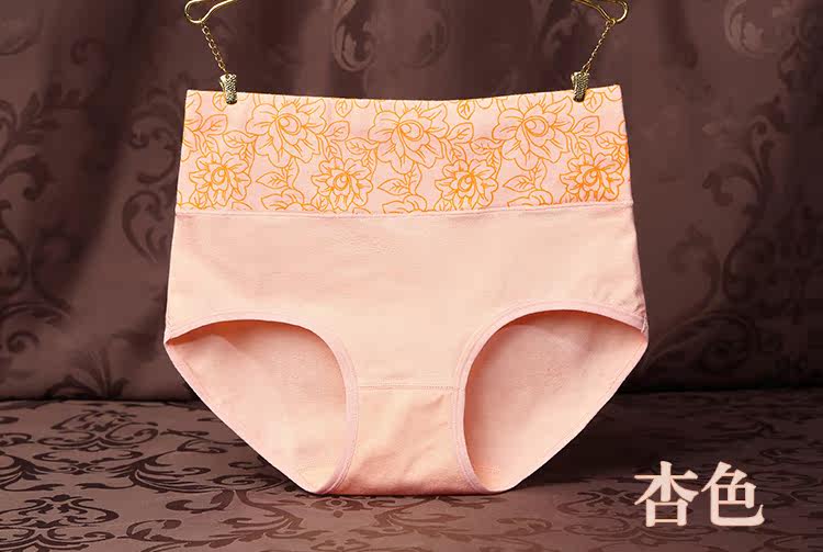 Slip simple en coton - Ref 639755 Image 12