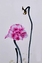 ] Su embroidery diy beginner kit 0 basic stitch lotus picture manual embroidery painting