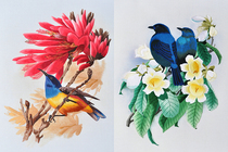Su embroidery diy beginner kit stitch hand embroidery flower and bird picture