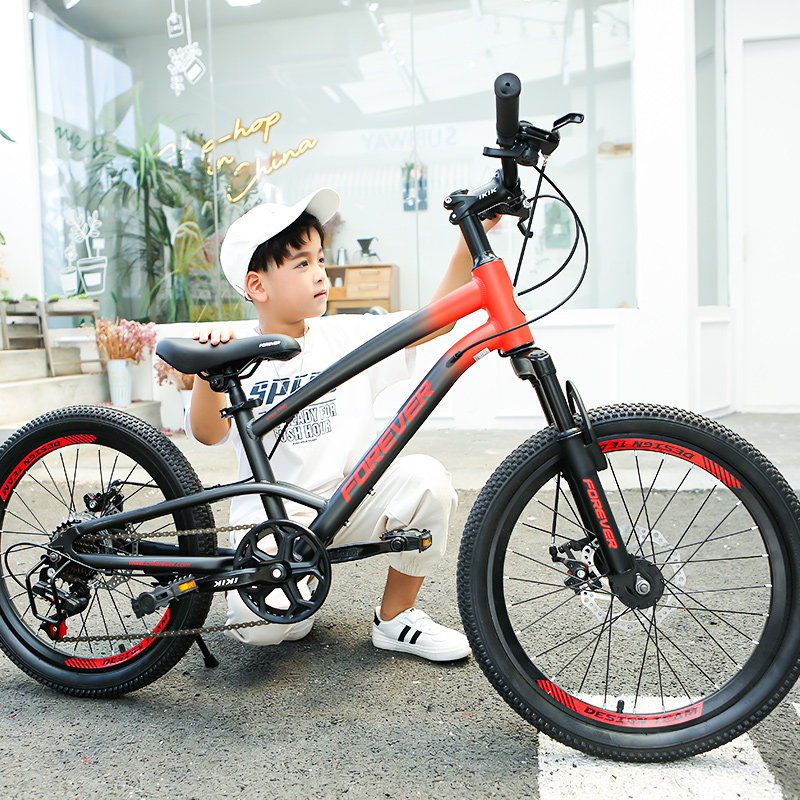 第十一届全国运动自行车项目竞赛规程doc