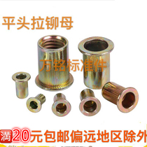 Stainless steel iron rivet nut Rivet cap Flat head column pattern rivet nut Rivet nut Flat head knurled rivet nut