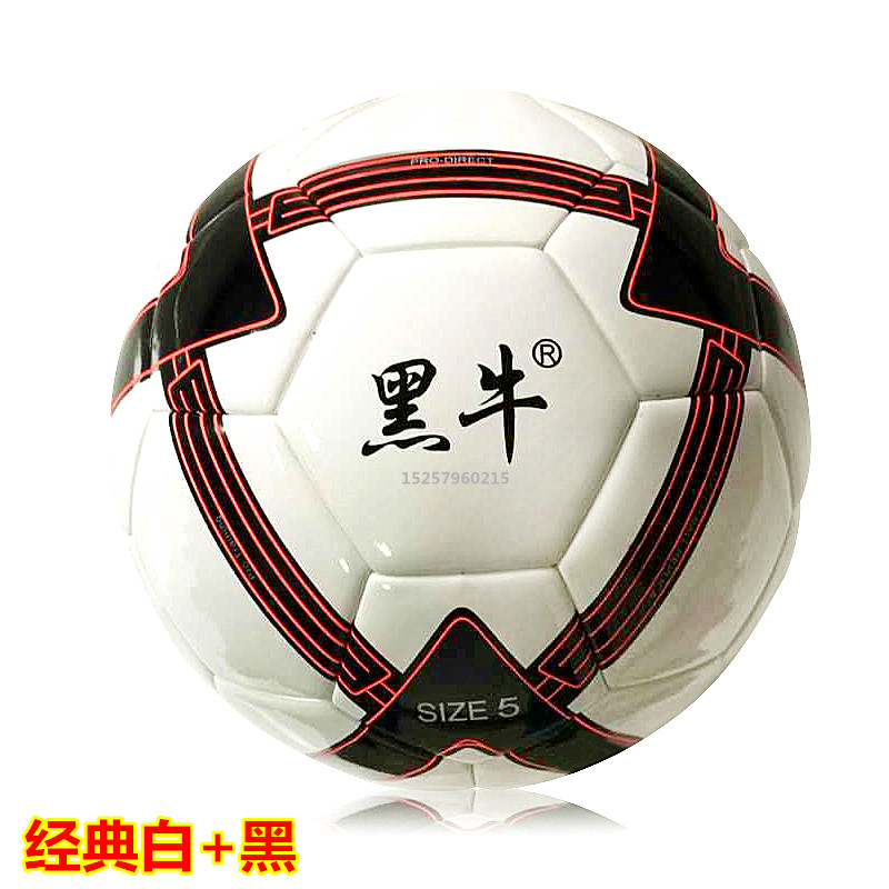 Ballon de foot - Ref 5787 Image 10
