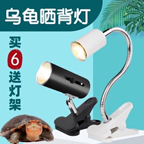Turtle sun light full-spectrum sun light uvb turtle tank with uva heating calcium light bulb climbing pet back light three-in-one