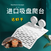 Small turtle drying platform fish tank high water level climbing platform deep water floating island home mini climbing sucker large extra large