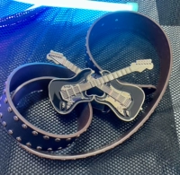 Двойная гитара