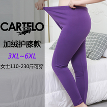 Crocodile ladies warm pants large size plus velvet padded cotton leggings fat mm fatten high waist cotton pants winter