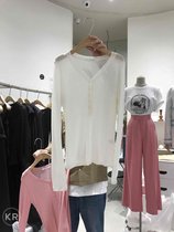 South Korea East Gate AND MORE-A ultra-thin long sleeve T-shirt female 2021 spring new vneck solid color top