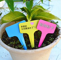Gardening supplies waterproof signage nursery label T-Type Plug card CP 08 color random 5