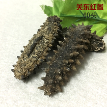 Japan Hokkaido Kanto sea cucumber thorn ginseng Red ginseng 6 rows of thorns 40-60 pure light dry thorns more thick hair times higher