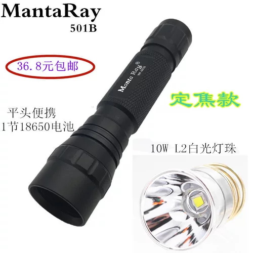 Mantaray501b плоская головка фиксированная фокус 18650 батарея L2 Сильный свет 10 Вт белый свет фонарик на велосипеде езда на велосипеде