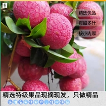 Из культурной специализации Discover Hair из Smell Lychee Meat со сладким и сладким выбором фруктового риса особого сорта