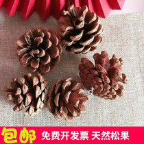 Pine Nuts With Nails Natural Sensual Fruits Dry Floral Ornament Creative Hand Hanging Accessories Sweater Chain DIY Pendant Decoration
