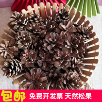 (50 pine nuts) natural Zhangzi pine decoration kindergarten handmade diy to make Christmas material dried flowers