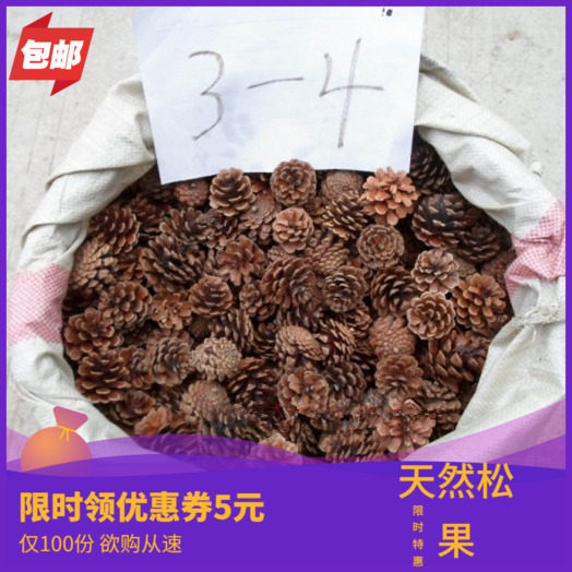 Pine Nuts Natural Dry Flower Branches Decorate Handmade Zakka Kindergarten Diy Red Fruits Pine Needles Christmas Material-Taobao