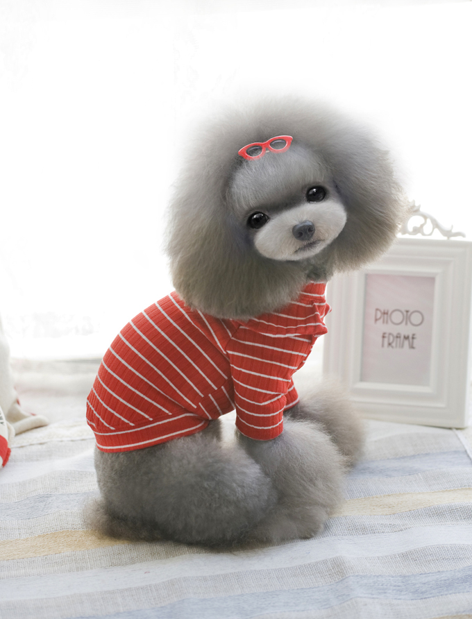 Mùa thu Pet Dog Puppy Quần áo với tay áo bay nhỏ sọc gấu Teddy Schnauzer Quần áo chó nhỏ - Quần áo & phụ kiện thú cưng áo cho cún