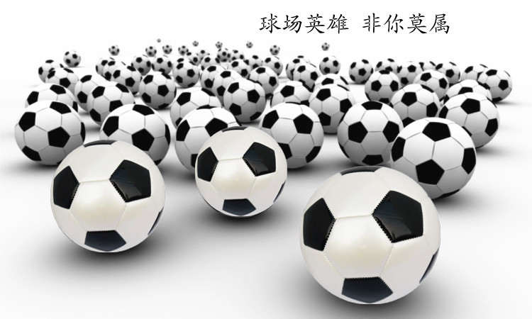Ballon de foot - Ref 5347 Image 7