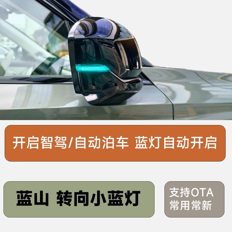 Wei Brand Blue Mountain Rearview Mirror Turn Signal Small Blue Light Automatic Driving Turn Indicator Light