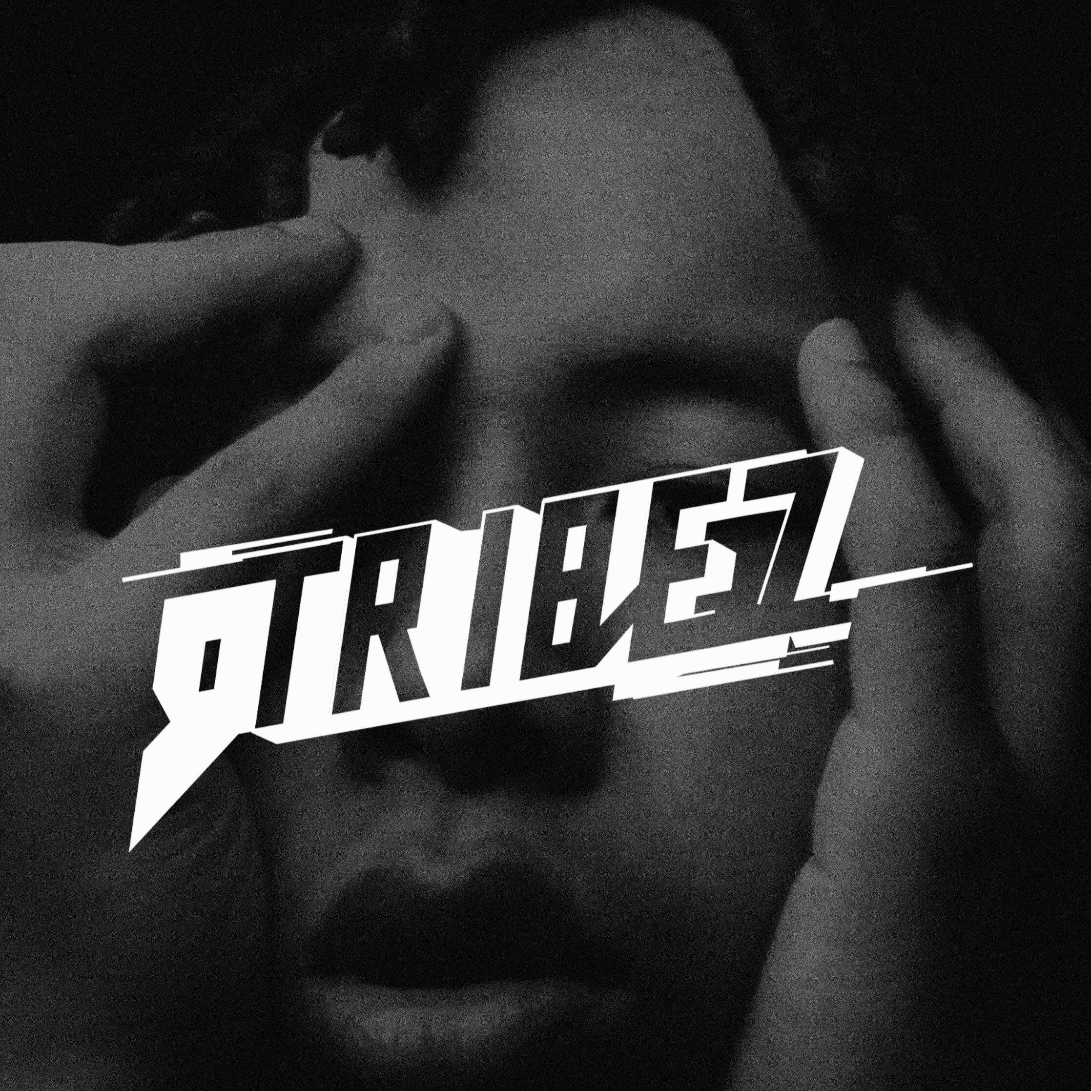 Shipped within three days after the fall entity was photographed