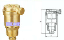 Copper exhaust valve automatic exhaust valve air conditioning pipe bleeder valve heating valve filter type air discharge valve water pipe exhaust
