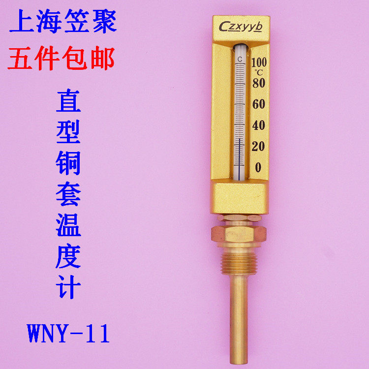 V thermometer Marine copper sleeve thermometer WNY-11 100 degrees L=60MM thread 1 2