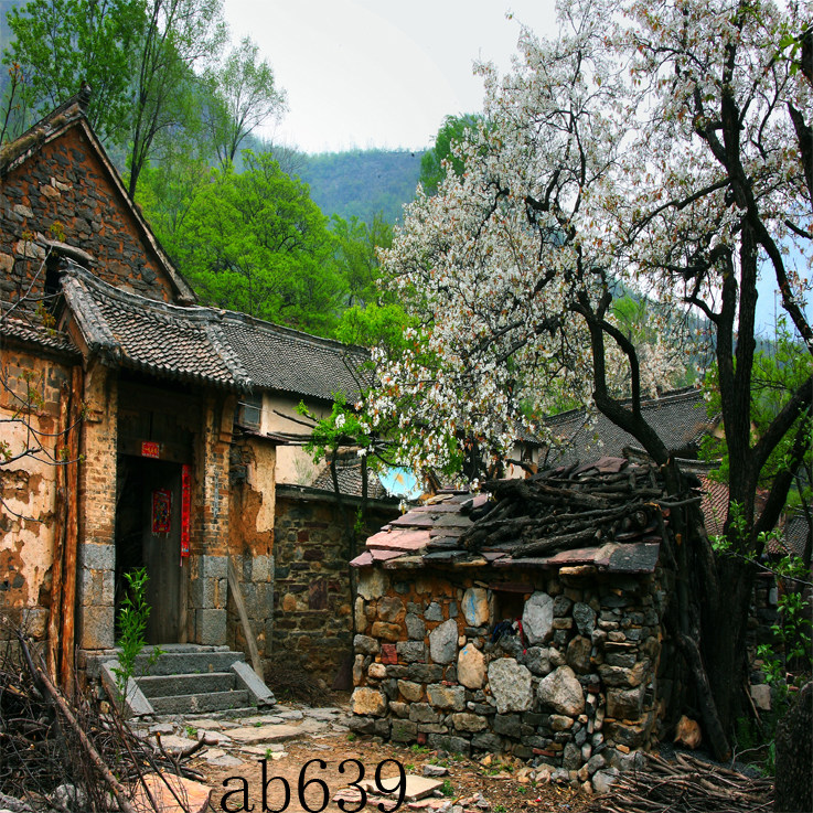 Online Red Countryside Background Cloth Straight Sowing Room Old House Breaking House Earth House Cave View Scenery Anchor Live 3d Cloth