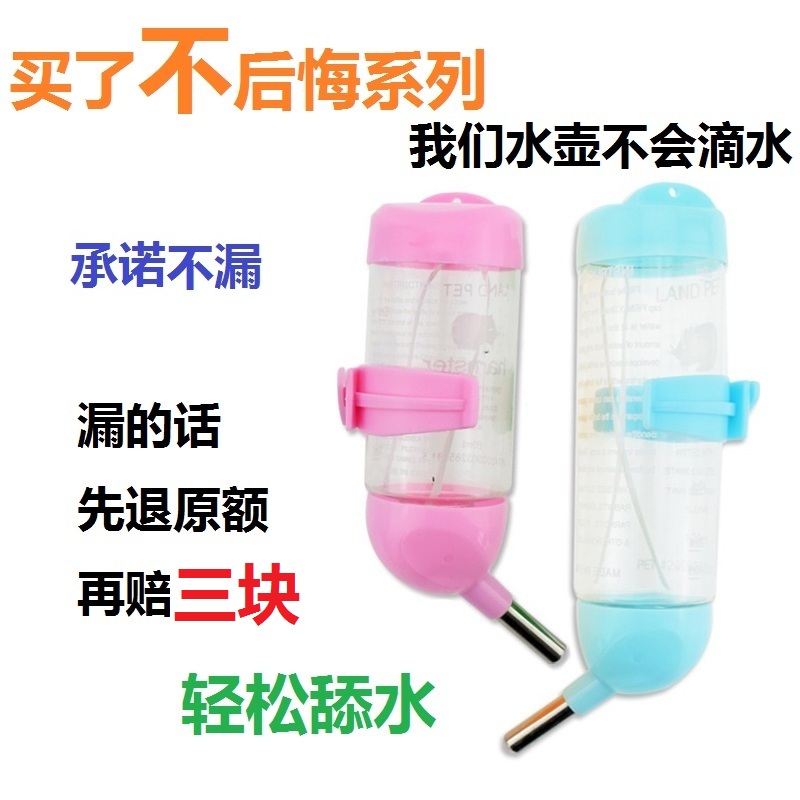 Hardware Dragon Squirrel Ball Drink Drink Water Without Leakage and Out-Feed Water Kettle