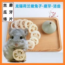 Dragon Cat Rabbit Dutch Pig Grinders Silk Melon ZERO Toy Pets Resistant to Bite Loofah Toy Clean Teeth
