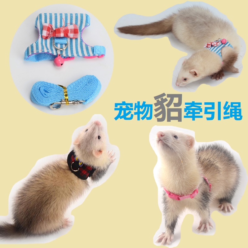 Pet Mink Traction Rope Out of Rope Earth Dial Rat Snowk Vests Out of Traction Rope Dwarf Rabbit Vests Out of Ropes