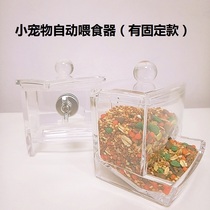 Hamster Flower Branch mouse Golden Bear hedgehog automatic feeder transparent small model pet automatic feeding machine can be fixed