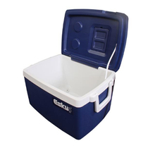 Esky incubator 50L refrigerator food fresh box car outdoor delivery insulation storage refrigerator sea fishing box