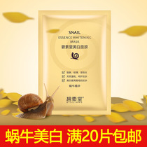Bepheu Tang Snail Stock Liquid Mask Whitening Pale Patches Water Replenishing Moisturizing And Fading Acne Print Shrink Pores Compact to Female Men