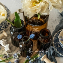 Industrial ins Brown glass medicine bottle Reagent bottle Water culture Dried flowers bouquet Home decoration small vase send stickers