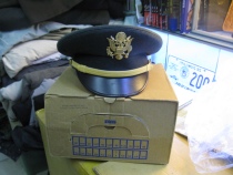 moldy fruit army lieutenant big cap green 7 fake one penalty three moldy fruit system