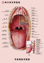 733 Home Poster Exhibition Board Spray-painted Stickers Pictures 379 Hospital ear throat and throat Coatlas