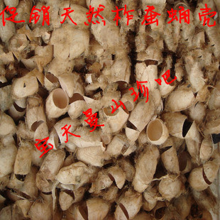 The naturally colored natural color of the cocoon of the silkworm silkworm silkworm silkworm in the southern countryside of China
