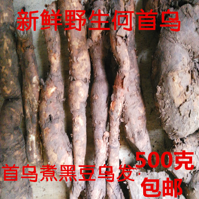 Farmers dig wild head Ukuu Kuo Yuku Night - Dai Ufa 500 grams