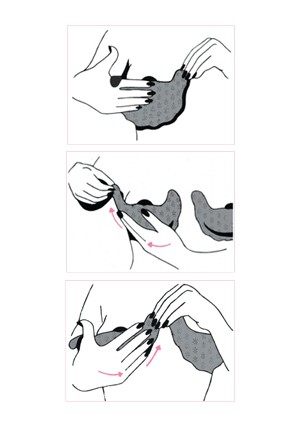 Coques pour soutien-gorge - Ref 812828 Image 4