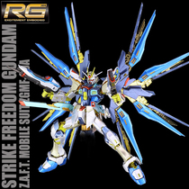  Thousand Hands Bandai metal coloring RG14 1:144 Assault free Gundam Gundam model New Year gift