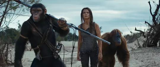 猩球崛起:新世界 Kingdom of the Planet of the Apes2024剧照2