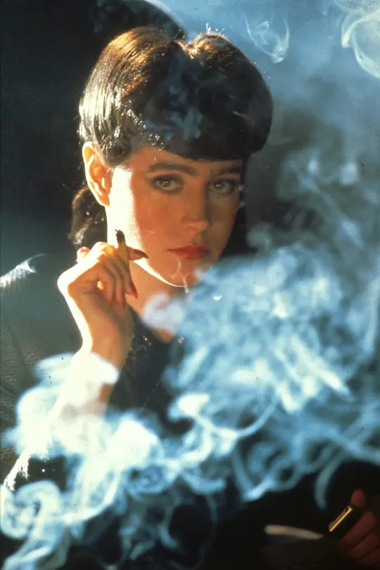 银翼杀手 Blade Runner1982剧照1