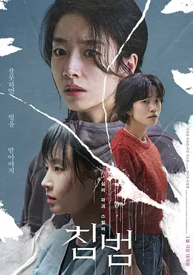 侵犯 ??（2024） 海报